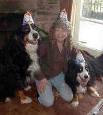 Bernese, Jean and party hats!