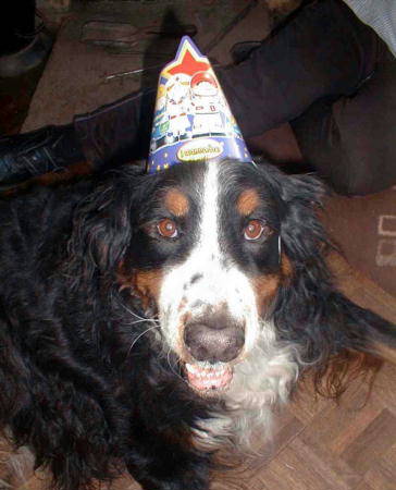 Birthday Berner, Barney