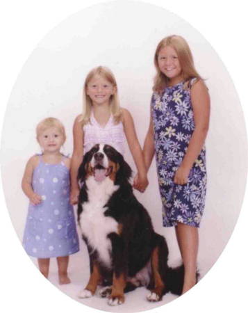 Bernese Mountain Dog, Darla, lost to Malignant Histiocytosis