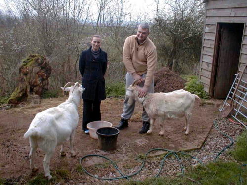 With goats, Abbi and Elli