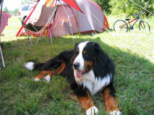 Paulo, BMD, sadly lost to Histio