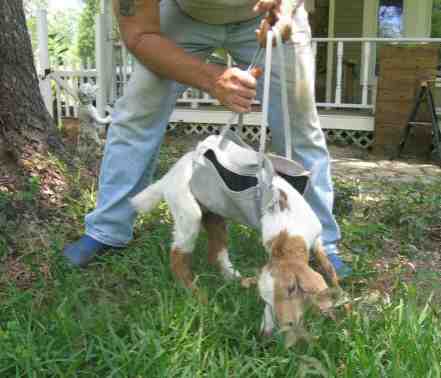 {short description of image}