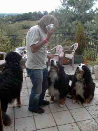 3 BMD#s and liver pate