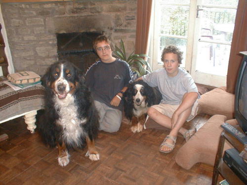 {short description of image}