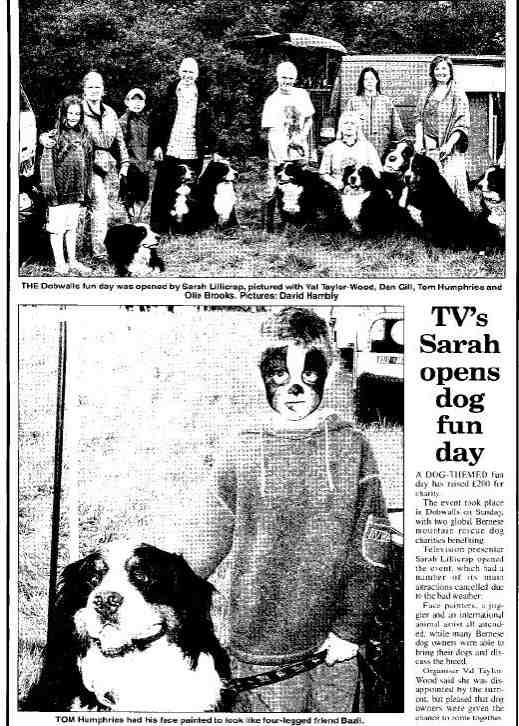 Fundraser on behalf of Bernese Mountain Dog Rescue