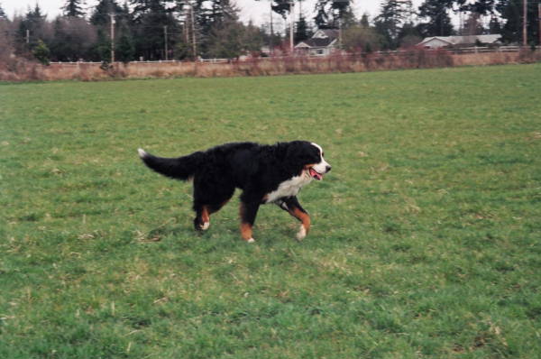 Happy Birthday, Daegan