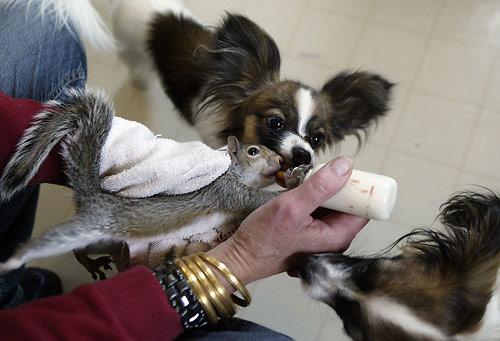 Finnegan and Giselle