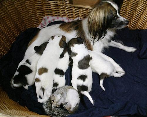 Finnegan makes new friends