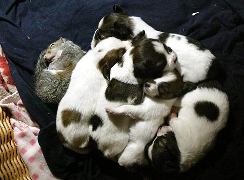 Giselle allowed Finnegan to nurse