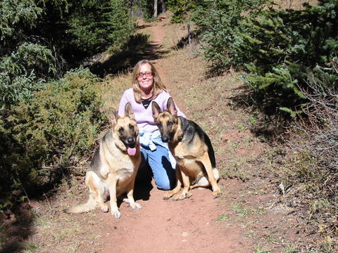 {short description of image}