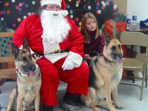 {short description of image}