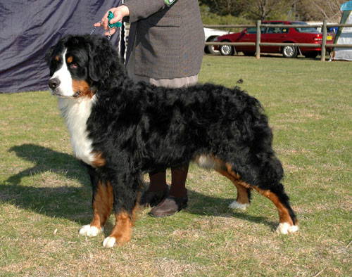 A very Special Spike!