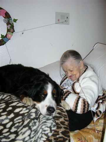 {short description of image}