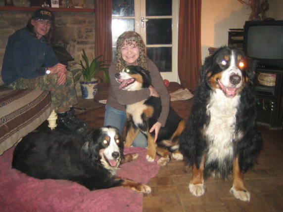 {short description of image}