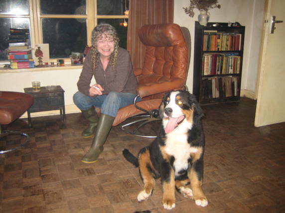 {short description of image}