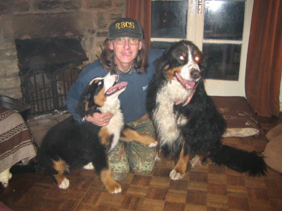 {short description of image}