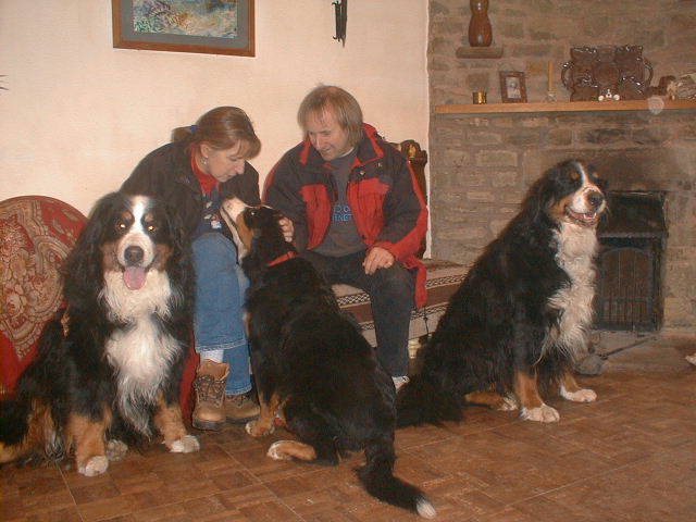 Bernese Bo visits