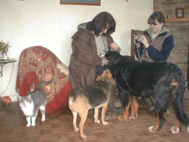 {short description of image}