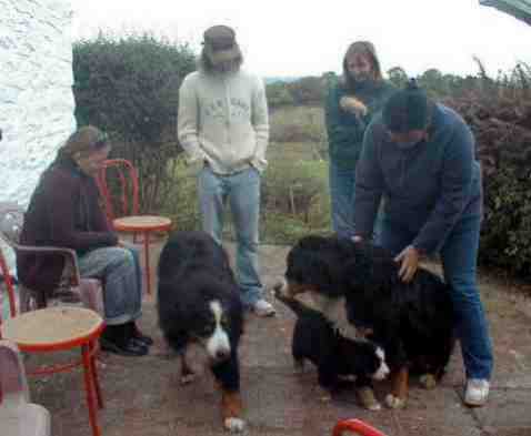 {short description of image}