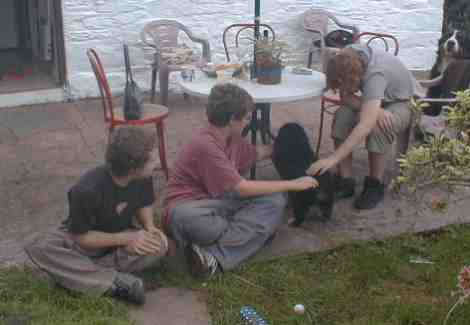 {short description of image}