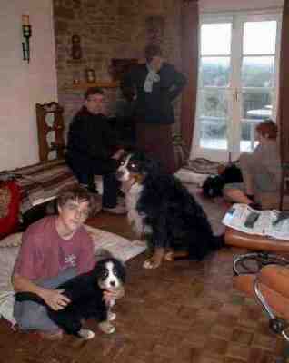 {short description of image}