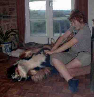 {short description of image}