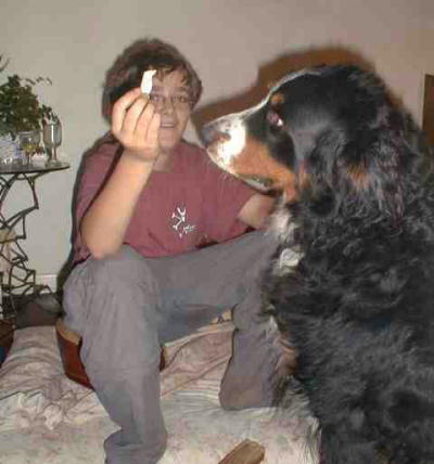 {short description of image}