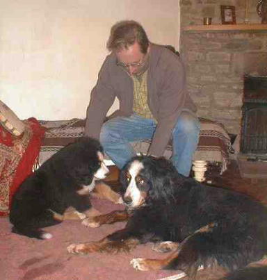 {short description of image}