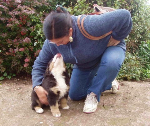 {short description of image}