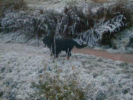 {short description of image}