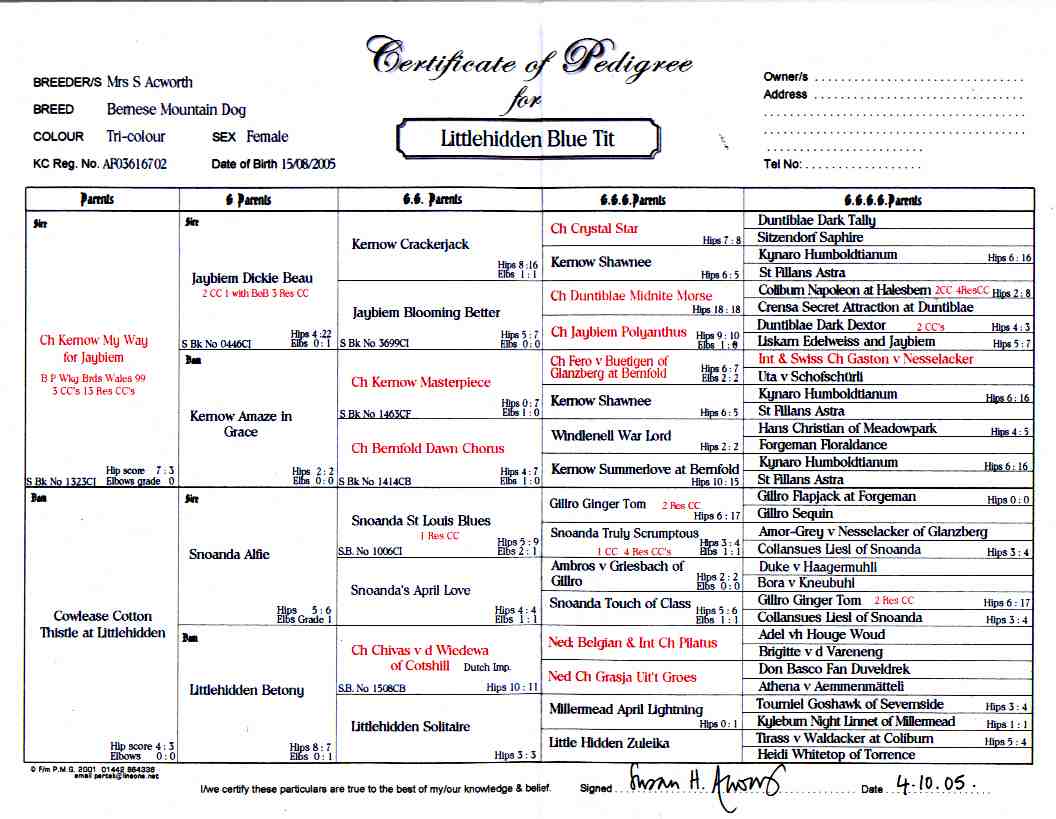 Pixie, BMD Pedigree.