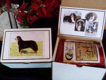 {short description of image}