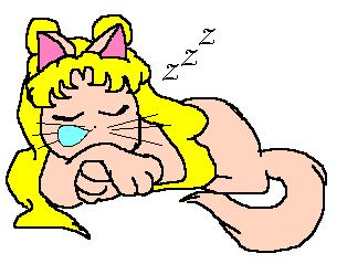 Sleeping Usagi
