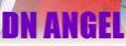 DN Angel