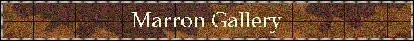 Marron Gallery