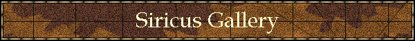 Siricus Gallery