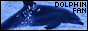 Soy fan de los delfines!!! es por que.. soy uno o.o