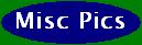 Misc. Pics