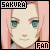 Haruno Sakura Fan