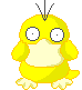 Psyduck