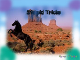 Stupid Tricks