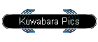 Kuwabara Pics