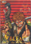 bleachlsb1.jpg