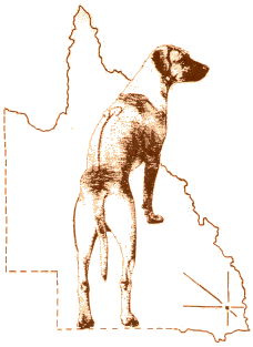 Rhodesian Ridgeback Club of Queensland, Inc.