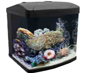 New 12 gallons nano tank aquapod