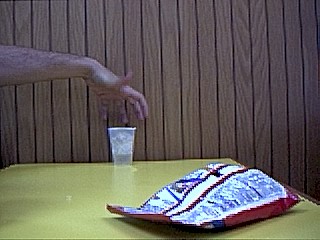 history.jpg (25086 bytes)