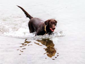 Soji at Devil's Lake