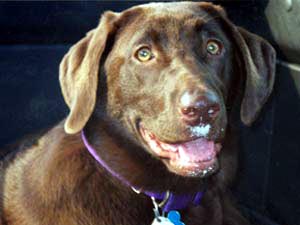 Soji's Hitler impression