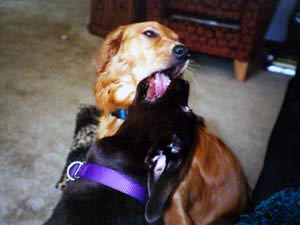 Soda and Soji Make Out