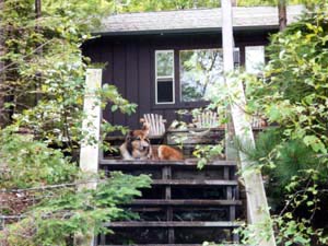 Toby watching the swimmers